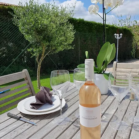Villa Avec Piscine Et Mini-golf Sainte-Maxime